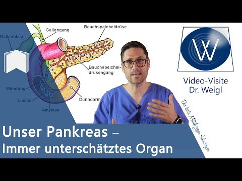 Unser Pankreas: Total unterschätzt ⏩ Anatomie, Funktion &amp; Erkrankungen unserer Bauchspeicheldrüse