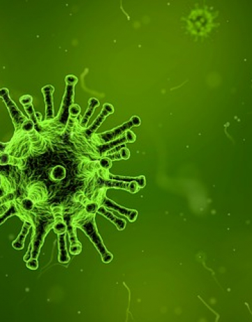 75 Prozent aller Grippe- Erkrankungen verlaufen ohne Symptome