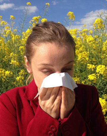 12 Millionen Deutsche leiden unter Pollenallergie