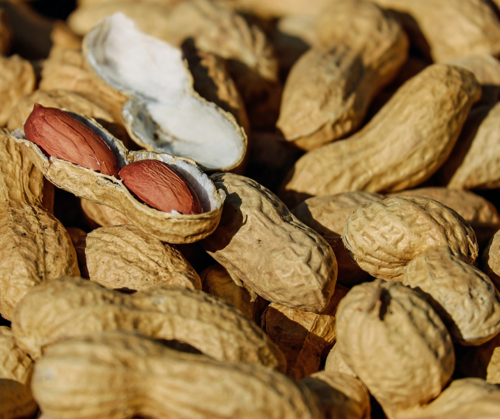 Wissenschaftler warnen vor Allergiebehandlungen mit Erdnüssen