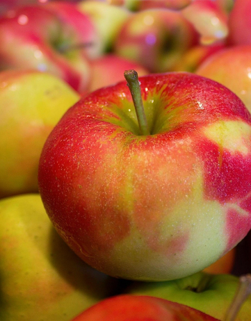 Äpfel: Das unterschätzte regionale Superfood