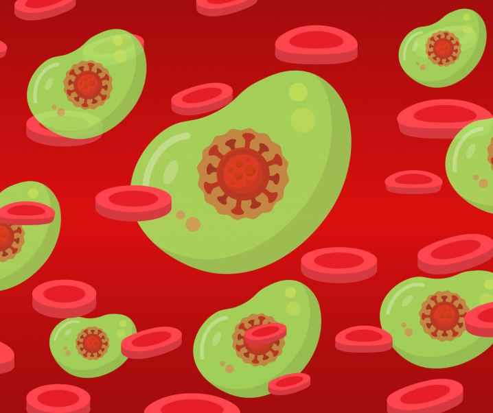 Covid-19: Neue Erkenntnisse zur Immunität von vormals Infizierten