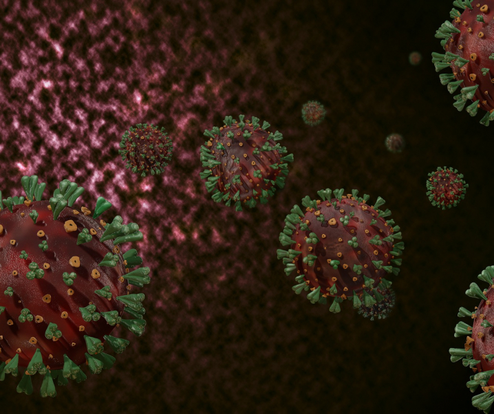 Warum SARS-Coronaviren im menschlichen Körper so erfolgreich sind