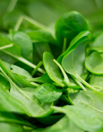 Superfood Spinat: Was das grüne Blattgemüse alles kann