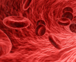 Atherosklerose: Neue Behandlungsmöglichkeit entdeckt