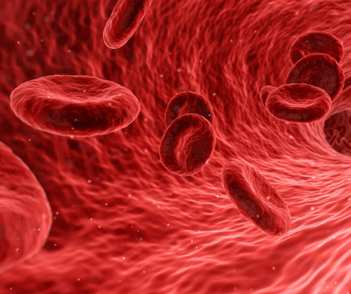 Long-COVID: Sind Veränderungen der Blutplättchen die Ursache für anhaltende Symptome?