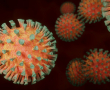 Vogelgrippe: Ansteckungsgefahr ist auch bei Menschen gegeben