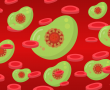 Evolution des Coronavirus: Das erwartet uns nach Omikron