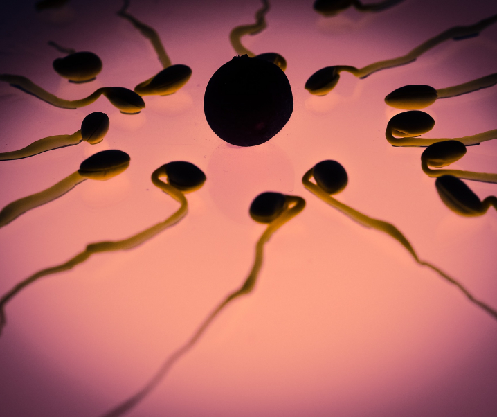Spermien in Gefahr: Luftverschmutzung gefährlicher als gedacht