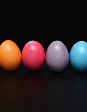 Ei like it – doch wie gesund ist die Eiweiß-Bombe wirklich?