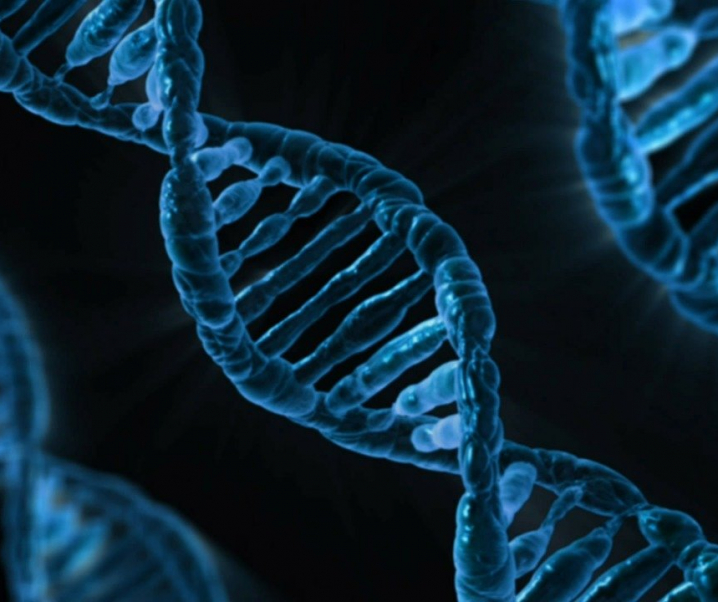 Covid-19: So beeinflussen unsere Gene den Krankheitsverlauf