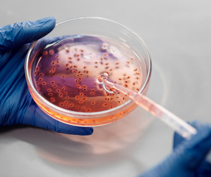 Faszinierende Krebs-Forschung: Warum Bakterien zu Darmtumoren führen