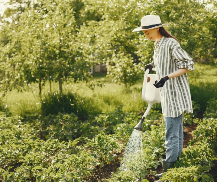 Neues Präventionskonzept: Wie Gartenarbeit schwerwiegenden Erkrankungen entgegenwirkt