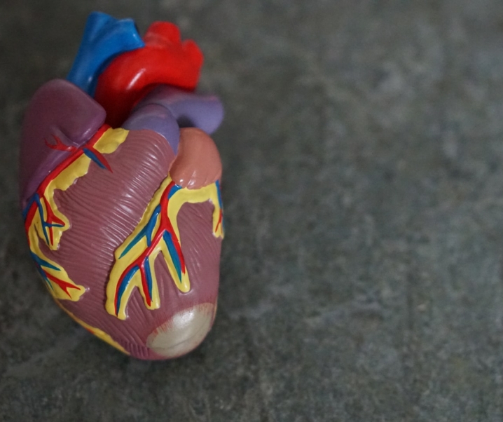 Endokarditis: Wenn sich das Herz entzündet droht der Tod