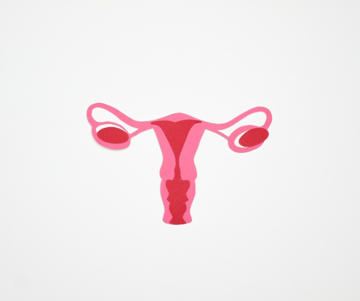Endometriose: Neue Antikörper-Behandlung für weniger Leid?
