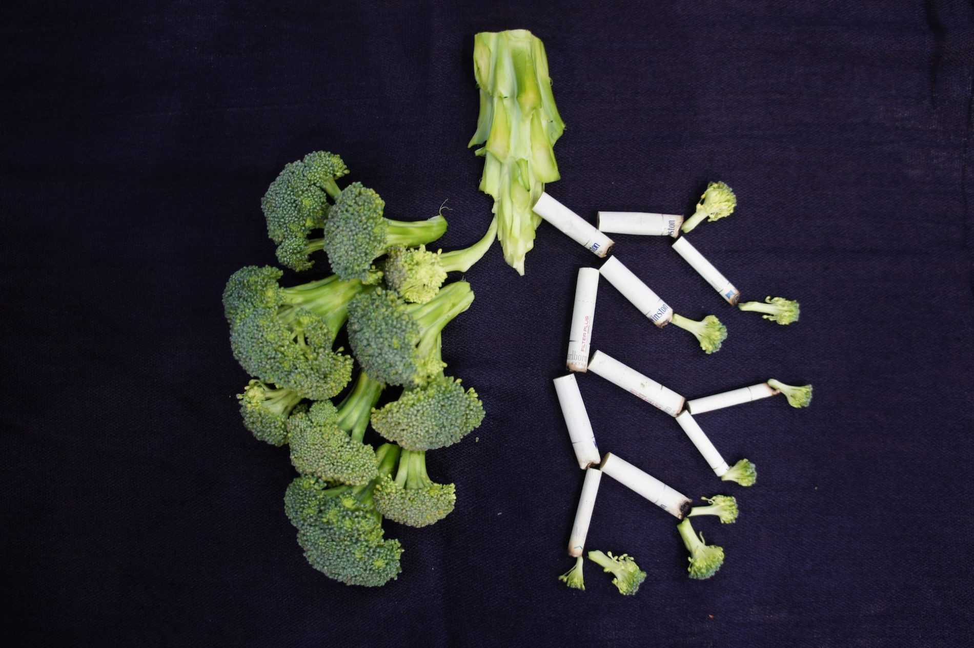 Abbildung einer kranken Lunge mit Gemüse und Zigaretten